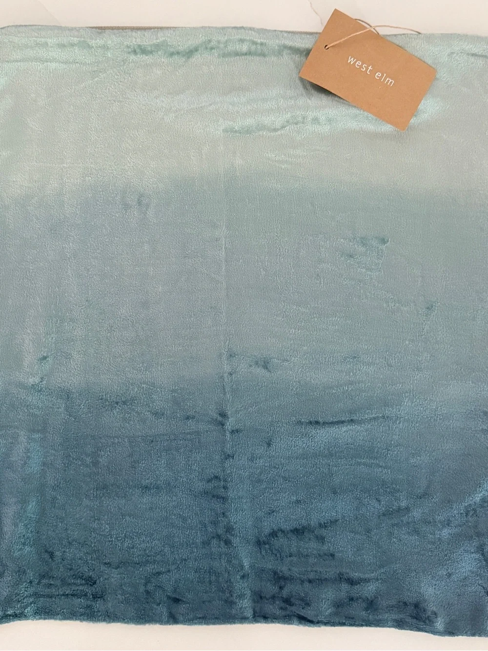 West Elm Linen/Velvet Pillow Cover Set